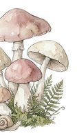 Watercolor mushrooms with ferns and moss in earthy tones, botanical forest illustration for nature designs and organic branding projects.