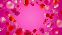 Flying red and pink rose petals and flowers forming a frame on vibrant magenta background with copy space for romantic designs.