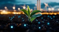 Young green plant sprout growing from soil against blurred city lights background with bokeh effect, symbolizing growth, hope and urban sustainability.