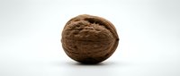 Whole walnut with textured shell isolated on white background, suitable for food, nutrition, and healthy eating design projects.