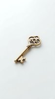 Antique brass skeleton key with ornate decorative head featuring scrollwork design, isolated on white background for design projects and vintage-themed applications.