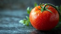 Fresh ripe tomato with water drops and green stem on dark background, macro shot showing texture and natural moisture for food photography.