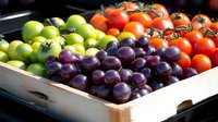 Fresh organic produce in wooden crate featuring vibrant red cherry tomatoes on vine, purple grapes, and green apples arranged in colorful display at farmers market.