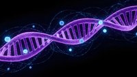 Purple DNA double helix structure with glowing nodes on dark background for genetic research, biotechnology and molecular biology concepts.