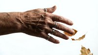 Elderly person's hand with wrinkled skin reaching toward falling autumn leaves against white background, symbolizing aging, fragility, and the passage of time.