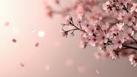 Delicate pink cherry blossoms in full bloom against soft blurred background with falling petals creating dreamy spring atmosphere for romantic designs and backgrounds.