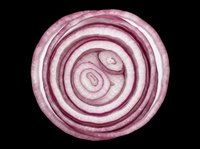 Red onion cross section isolated on transparent background, ready for culinary design, food packaging, recipe graphics, educational materials, and print-on-demand products.