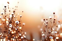 Delicate wildflowers silhouetted against warm sunset bokeh background create dreamy natural atmosphere with soft focus and golden hour lighting effects.