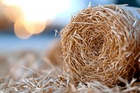 Closeup of golden hay bale with soft bokeh background and natural sunlight creating warm atmospheric mood, agricultural concept for farming and harvest season.