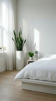 Minimalist bedroom interior with snake plant in white planter, natural sunlight streaming through sheer curtains creating peaceful atmosphere for home decor.