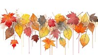 Autumn leaves collection with colorful maple, oak and birch foliage in warm orange, red, yellow and brown tones on white background for seasonal design.