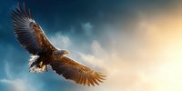 Majestic bald eagle soaring through dramatic sky with outstretched wings against backdrop of stormy clouds and golden sunlight.