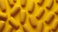 Fresh corn cobs scattered on vibrant yellow background creating geometric pattern. Minimal food photography with strong shadows and repetitive composition.
