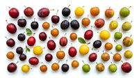 Assorted fresh fruits including red apples, dark plums, black grapes, yellow and orange citrus fruits, and green apples arranged on white background. Suitable for food, nutrition, and healthy lifestyle designs.