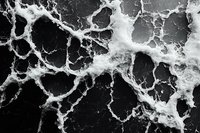 Black and white abstract marble texture with natural veining pattern and cracked surface creates dramatic contrast for luxury design backgrounds.
