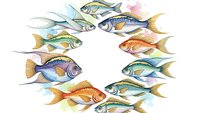 Colorful tropical fish arranged in circular pattern on white background, marine life illustration for educational materials and aquatic designs.