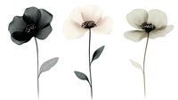 Minimalist watercolor poppies in black, white and gray tones with delicate stems and leaves. Elegant floral art suitable for modern home decor and stationery design.