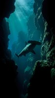 Hammerhead shark swimming through underwater cave with dramatic sunlight rays filtering through turquoise water creating mystical marine environment.