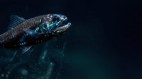 Terrifying deep sea fish with sharp teeth and bioluminescent features swimming in dark ocean waters. Marine predator concept for horror and underwater themes.