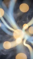 Blurred bokeh lights with flowing smoke and warm golden orbs creating an abstract, dreamy atmosphere. Use for backgrounds, overlays, or artistic projects.