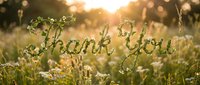 Gratitude message written in frost or dew on wildflower meadow at sunrise, conveying appreciation and thanks in natural outdoor setting.