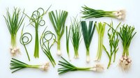 Fresh green onions scallions and spring onions variety collection isolated on white background for culinary cooking and healthy organic food recipes.