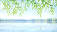 Fresh green willow leaves hanging over tranquil lake water with soft focus background creating peaceful natural scenery for wellness and meditation concepts.