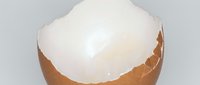 Cracked brown eggshell with white membrane exposed on neutral background for cooking and food preparation concepts.