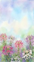 Watercolor cleome spider flowers in pink purple white blooms against soft pastel sky background for spring garden designs and floral arrangements.