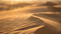 Golden sand dunes with rippled textures glow in warm sunset light, showcasing the serene and vast desert landscape in soft focus.