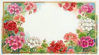 Vintage floral frame with colorful geranium flowers and green leaves creating decorative border on white background for greeting cards and invitations.