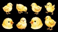 Cute yellow baby chicks in various poses isolated on transparent background. Ready for t-shirt designs, clipart, stickers, print-on-demand products, and sublimation projects.
