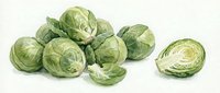 Brussels sprouts, whole and halved, displayed on white background for cooking, nutrition, and healthy eating content.