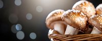 Fresh brown champignon mushrooms with water drops in rustic woven basket against dark background with bokeh lights, macro food photography.