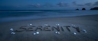 Word serenity written in wet sand at twilight beach with smooth ocean waves, scattered shells, and dramatic blue dusk sky in background.