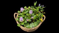 Woven basket filled with lush green foliage and delicate purple flowers, isolated on transparent background. Ready for design use on t-shirts, clipart, stickers, print-on-demand products, and sublimation projects.