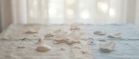 Delicate white rose petals scattered on soft lace fabric with warm bokeh lighting creating romantic wedding or spa atmosphere for design projects.
