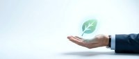 Hand of person in business attire holding glowing green leaf symbol, representing environmental sustainability, eco-friendly practices, and corporate responsibility for conservation initiatives.