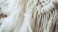 Soft white feathers in gentle layers create delicate texture and pattern. Natural light highlights fluffy plumage details, bringing depth and ethereal quality to organic composition.