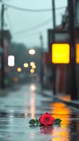 Single red rose lying on wet city street during rainfall, with blurred bokeh lights and reflections creating moody atmospheric evening scene.