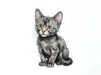 Young tabby kitten with alert expression sitting on white background, isolated and ready for design use on merchandise, greeting cards, and pet-related marketing materials.