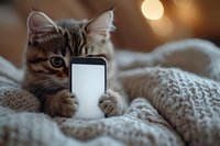 Tabby kitten holding smartphone while lying on cozy knitted blanket with warm bokeh lights in background.