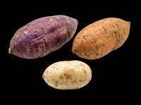 Three varieties of potatoes isolated on transparent background, ready for culinary design, recipe graphics, food packaging, print-on-demand products, and educational materials.
