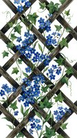 Climbing blue flowers with green ivy leaves on wooden lattice trellis against white background. Seamless pattern tiles for wallpaper, fabric, and garden design projects.
