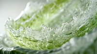 Crisp green lettuce leaf with water droplets and ice crystals in extreme macro photography showing fresh organic produce and natural texture patterns.