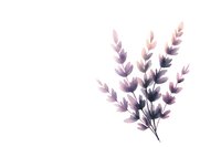 Delicate watercolor branch with pink and purple leaves creates soft botanical art on white background, suitable for wedding stationery and home decor.