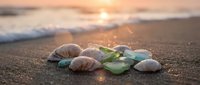 Seashells and sea glass scattered on sandy beach at golden hour sunset with gentle waves and warm sunlight creating peaceful coastal atmosphere.