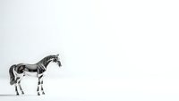 Elegant black and white horse standing in profile on clean white background, isolated for design projects and creative applications.