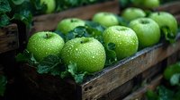 Fresh green apples with water drops in rustic wooden box, decorated with green leaves. Natural organic produce for healthy eating and farm market.