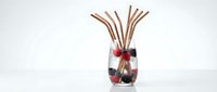 Glass aromatherapy diffuser with wooden reed sticks and decorative berries on white background for spa and wellness design projects.